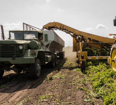 Agriculture